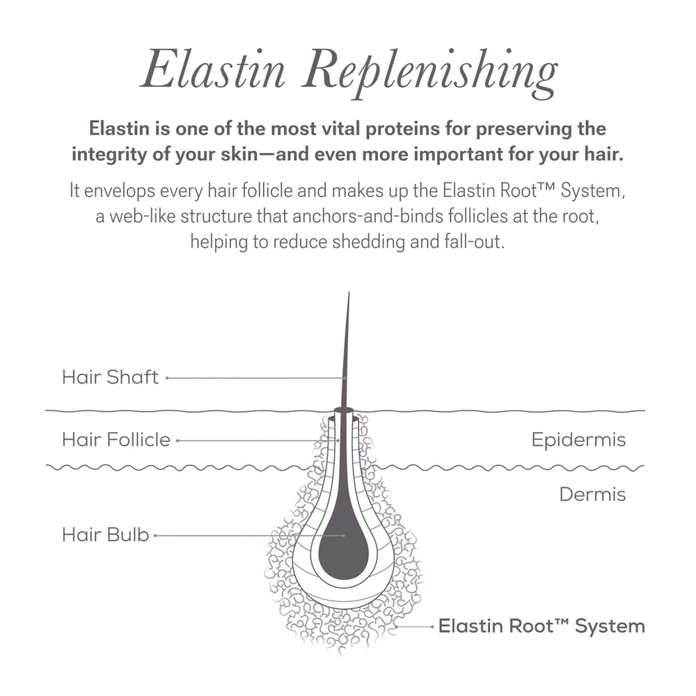 NULASTIN - LASH Follicle Fortifying Serum - Picture 8 of 12